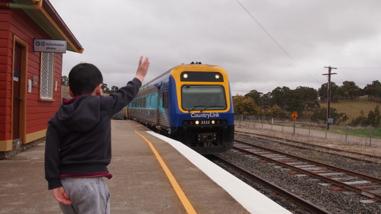 The train arrives at the Walcha Road station