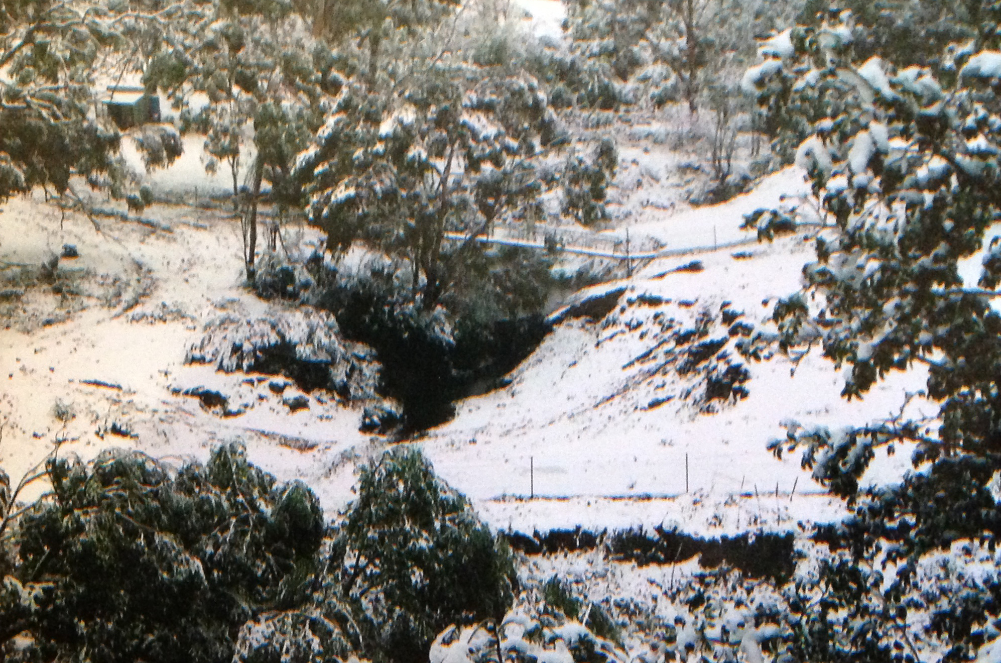 View from Back Verandah Snowing